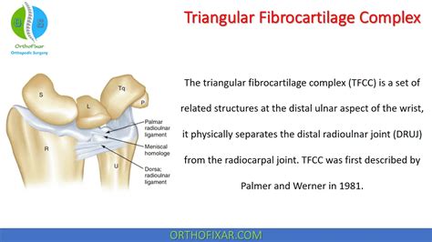 triangular fibrocartilage complex tear test|left triangular fibrocartilage complex tear.